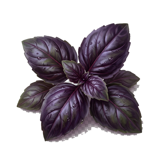 Black Basil